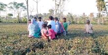 ভাল্লুকের পর এইবার লোকালয়ে চিতা আতঙ্ক!
