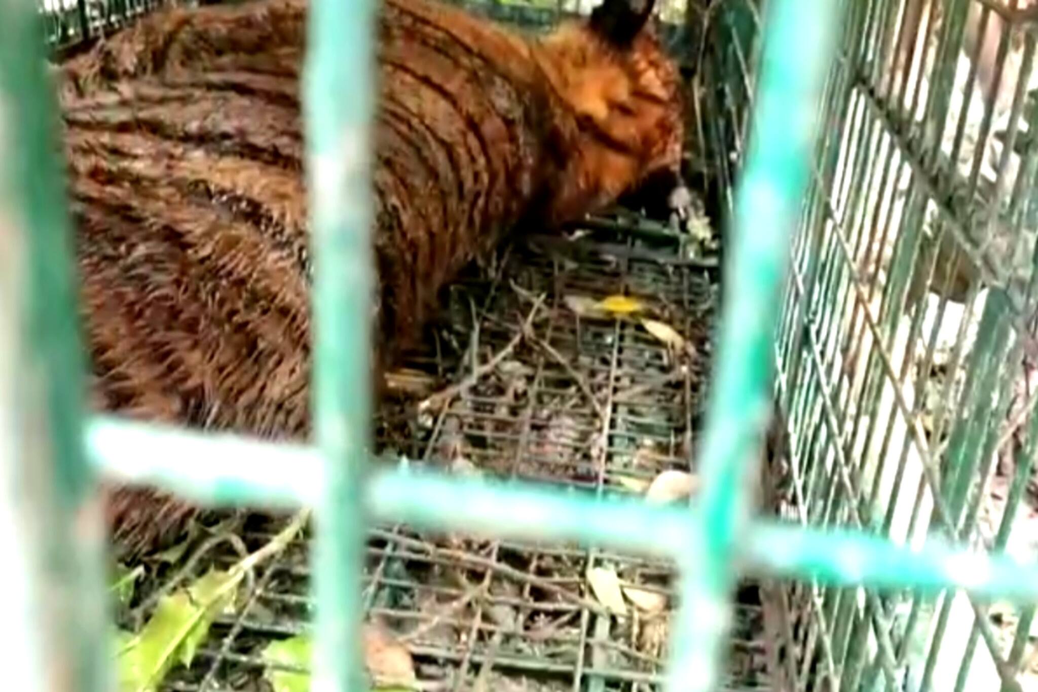 South 24 Parganas: আতঙ্কের প্রহর কাটল কুলতলির বাসিন্দাদের