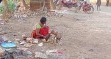 এক পাতে খাবার খাচ্ছে মানুষ ও কুকুর! ভিডিও ভাইরাল হতেই নড়েচড়ে বসল পূর্বস্থলী ব্লক প্রশাসন এক পাতে খাবার খাচ্ছে মানুষ ও কুকুর! ভিডিও ভাইরাল হতেই নড়েচড়ে বসল পূর্বস্থলী ব্লক প্রশাসন