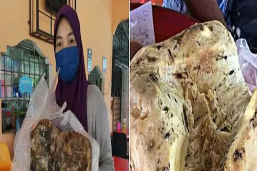 জীবন যে এভাবেও বদলে যেতে পারে, ভাবেননি মালয়েশিয়ার এক মহিলা। হঠাৎ করেই তাঁর হাতে এসে যাবে এত মহার্ঘ জিনিস, এ কী আর কেউ আগে থেকে আন্দাজ করতে পারে! কী এমন জিনিস ওই মহিলা পেয়েছেন, যাতে রাতারাতি কোটিপতি হয়ে গেলেন তিনি? ৪১ বছরের অ্যাইডা জুরিনা লং পেশায় মৎস্যজীবী। আর সেই সূত্রেই তিনি পেলেন মহার্ঘ সেই জিনিস।