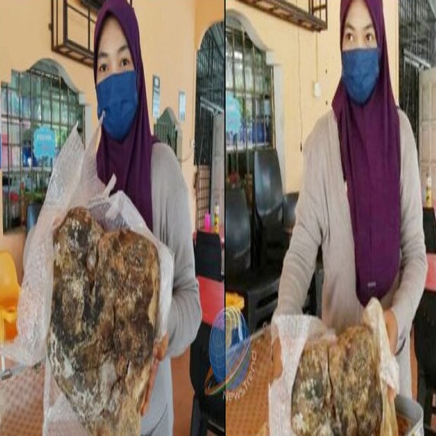 কিন্তু জুরিনার কুড়িয়ে পাওয়া ওই অ্যাম্বারগ্রিসের আকার দেখে মনে করা হচ্ছে যে, এর দাম কয়েক কোটি টাকা হতে পারে। উল্লেখ্য, তিমির এই বমি  দামী সুগন্ধী তৈরিতে ব্যবহৃত হয়ে থাকে।
