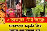 জঙ্গলে এবার অর্গানিক হলুদের ফলন ! সিউড়িতে সাফল্যের নাম হলুদ!