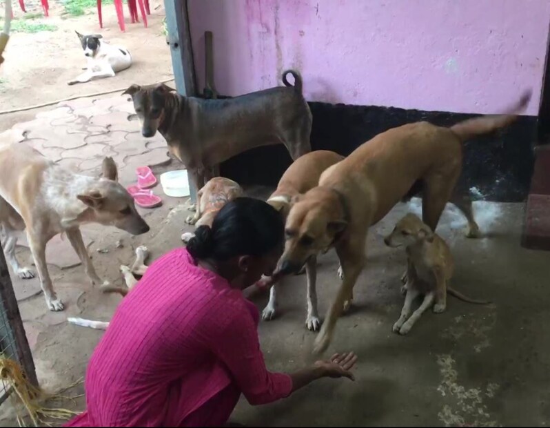 রজনী কর্ণাটকেই থাকেন। দীর্ঘ ১৫ বছর ধরে তিনি জীব সেবায় নিজেকে নিযুক্ত করেছেন। অসহায় কুকুর, বিড়াল, পাখি এমনকি অসহায় খরগোশের জায়গা হয়েছে রজনীর বাড়ি। ছোট খাট চিড়িয়াখানা তাঁর বাড়ি। Photo source ANI