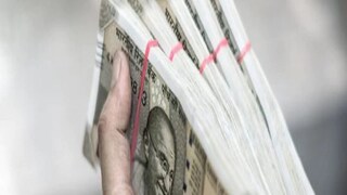 মৌমাছি পালন করে আয় করুন বিপুল টাকা৷ প্রতীকী ছবি৷ মৌমাছি পালন করে আয় করুন বিপুল টাকা৷ প্রতীকী ছবি৷