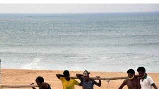 ফাইল ছবি