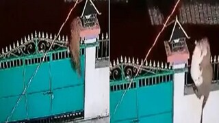 Viral Video Viral Video