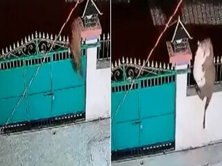 Viral Video
