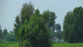 কৃষক উন্নয়নে কতটা গুরুত্ব বাজেটে