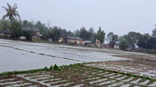 এ ভাবেই জলের নীচে চলে গিয়েছে অধিকাংশ কৃষি জমি৷ এ ভাবেই জলের নীচে চলে গিয়েছে অধিকাংশ কৃষি জমি৷