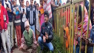 বাঘ ভেবে আহত বাঘরোলকে দেখতে ভিড় হাওড়ায়৷ 