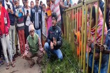 রাস্তায় নাকি পড়ে রয়েছে আহত 'বাঘ', সকাল থেকে শোরগোল বাগনানে রাস্তায় নাকি পড়ে রয়েছে আহত 'বাঘ', সকাল থেকে শোরগোল বাগনানে
