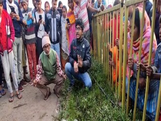 বাঘ ভেবে আহত বাঘরোলকে দেখতে ভিড় হাওড়ায়৷ 
