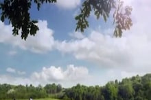 বিজ্ঞাপনে মহিলাদের দেখানো হল গরু হিসেবে! তীব্র সমালোচনার মুখে ক্ষমা চাইল সংস্থা