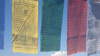 একটানা তুষারপাতের ফলে রাস্তা কয়েক মিটার পুরু বরফের চাদরে ঢেকে যায়। এর জেরে যানচলাচল ব্যাপকভাবে ব্যাহত হয়। প্রশাসনিক সূত্রে খবর, প্রায় ২৭৫টি পর্যটক বোঝাই গাড়ি ছাঙ্গুতে আটকে পড়েছিল। বেড়াতে গিয়ে এরকম পরিস্থিতির সম্মুখীন হওয়ায় স্বাভাবিকভাবেই আতঙ্কিত হয়ে পড়েন পর্যটকরা। একটানা তুষারপাতের ফলে রাস্তা কয়েক মিটার পুরু বরফের চাদরে ঢেকে যায়। এর জেরে যানচলাচল ব্যাপকভাবে ব্যাহত হয়। প্রশাসনিক সূত্রে খবর, প্রায় ২৭৫টি পর্যটক বোঝাই গাড়ি ছাঙ্গুতে আটকে পড়েছিল। বেড়াতে গিয়ে এরকম পরিস্থিতির সম্মুখীন হওয়ায় স্বাভাবিকভাবেই আতঙ্কিত হয়ে পড়েন পর্যটকরা।