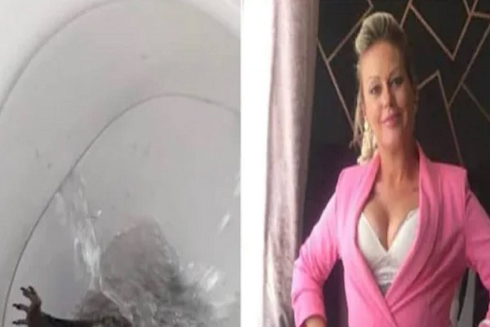 পোষ্য বাঁদরকে টয়লেটে ফেলে ফ্লাশ ! হাজতবাস এবং জরিমানা মহিলার