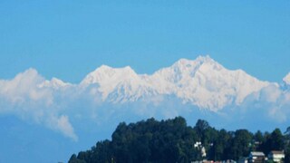 Representative Image Representative Image