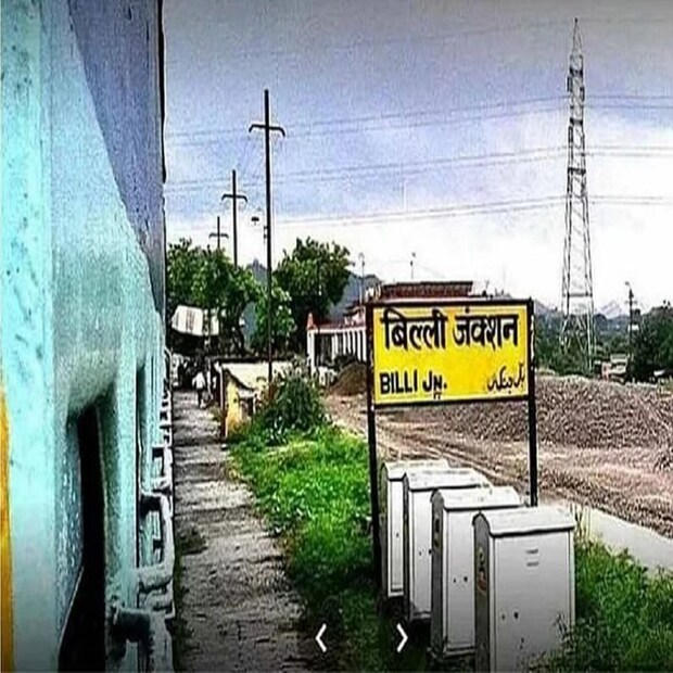 এলাকায় ভরপুর বিড়াল রয়েছে কিনা জানা নেই, তবে স্টেশনের নাম বিল্লি। বিল্লি নামক এই রেলওয়ে স্টেশন উত্তরপ্রদেশে অবস্থিত। এই স্টেশনটি সোনভদ্র জেলায় রয়েছে। এটি একটি খুব বিখ্যাত স্টেশন।
