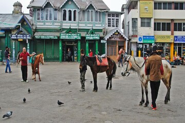 বড়দিনে দার্জিলিংয়ে ঠাসা ভিড়, হঠাৎ পুলিশি হানায় যা মিলল, চক্ষু চড়কগাছ সকলের!