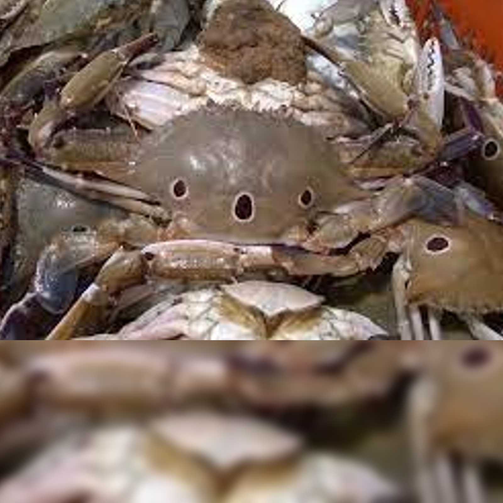 Diarrhea Tips to stay healthy and avoid stomach problem in summer