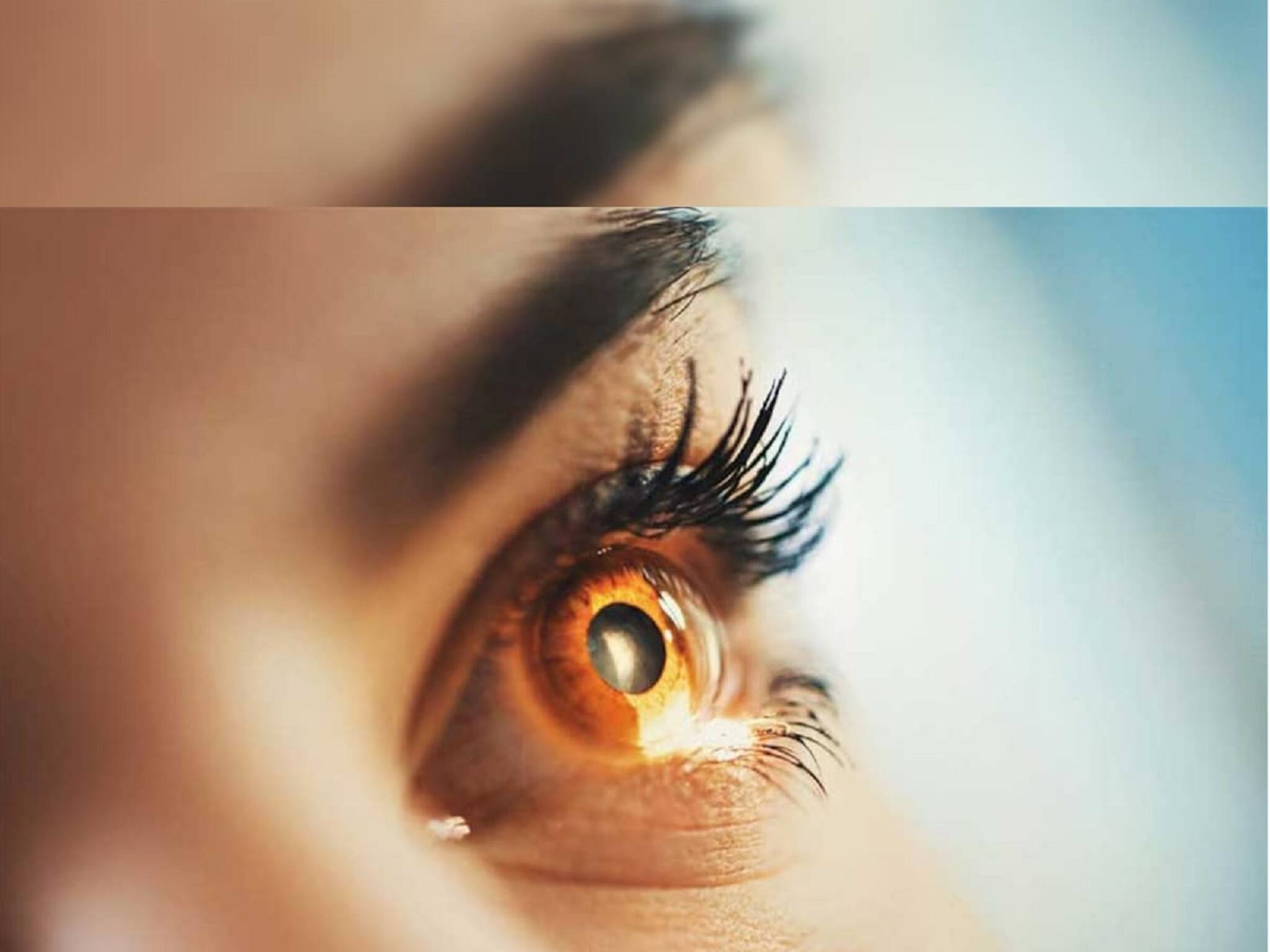 Eye Care Tips: শীতে শুষ্ক চোখের সমস্যায় জেরবার? উপশমের উপায় বলে দিচ্ছেন বিশেষজ্ঞ চিকিৎসক