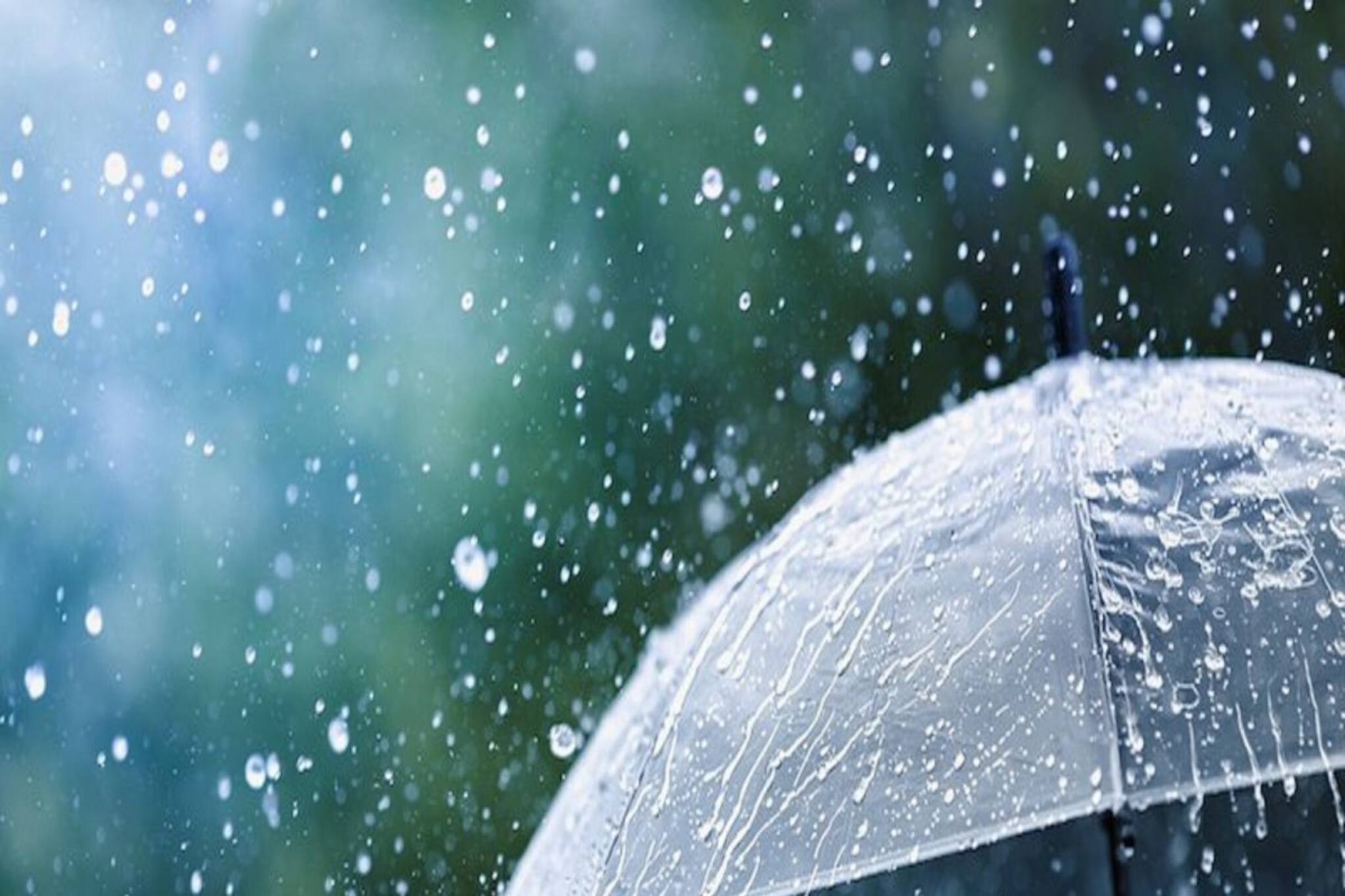 আগামিকালও কি চলবে বৃষ্টি? যা জানাল আবহাওয়া দফতর