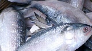 প্রতীকী ছবি