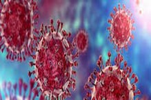 Coronavirus Third Wave|Omicron Variant: গবেষণায় চাঞ্চল্য! এই Blood Group-এ করোনা সংক্রমণের সম্ভাবনা প্রবল! Coronavirus Third Wave|Omicron Variant: গবেষণায় চাঞ্চল্য! এই Blood Group-এ করোনা সংক্রমণের সম্ভাবনা প্রবল!