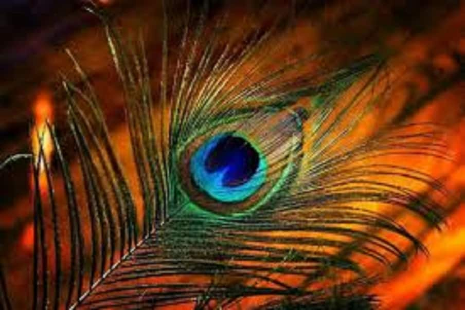 new-year-2022-resolution-vastu-tips-life-style-peacock-feather-brings