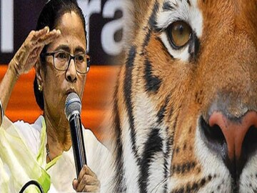 বাঘ ধরার পুরস্কার!