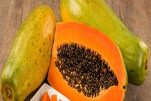 Papaya Side Effects: ভুলেও পেঁপে খাওয়া উচিত নয় এঁদের, হতে পারে ভয়ঙ্কর ক্ষতি! জেনে নিন আসল কারণ...