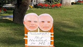 নকল সংসদ