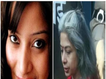 শিনা বোরা হত্যাকাণ্ডে চাঞ্চল্যকর মোড়
File Photo