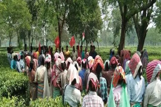চা শ্রমিকদের জন্য সুখবর