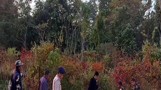 বাঘ খুঁজতে তোড়জোর বাঘ খুঁজতে তোড়জোর