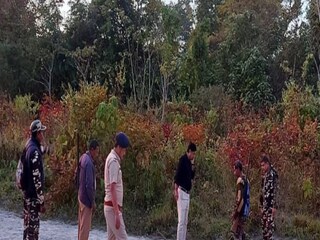 বাঘ খুঁজতে তোড়জোর