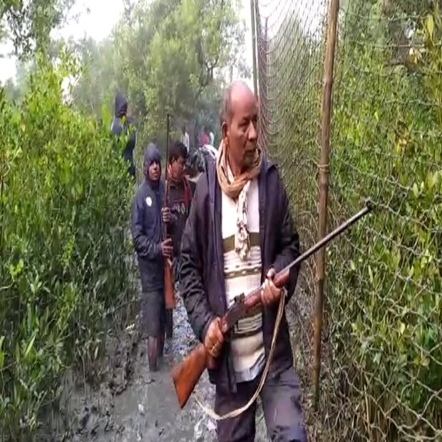 কুলতলিতে বাঘ প্রসঙ্গে রাজ্যের বনমন্ত্রী জ্যোতিপ্রিয় মল্লিক জানান, ১২৪ জন বন দপ্তরের কর্মীরা নেট দিয়ে ঘিরে রেখেছেন এলাকা। সুন্দরবন একটা বিস্তীর্ণ এলাকা, সেখানে বেশ কিছু গ্রাম রয়েছে। কখনও-কখনও বাঘ লোকালয়ে চলে আসে। সেই মতোই এই বাঘটিও লোকালয়ে চলে এসেছে। 