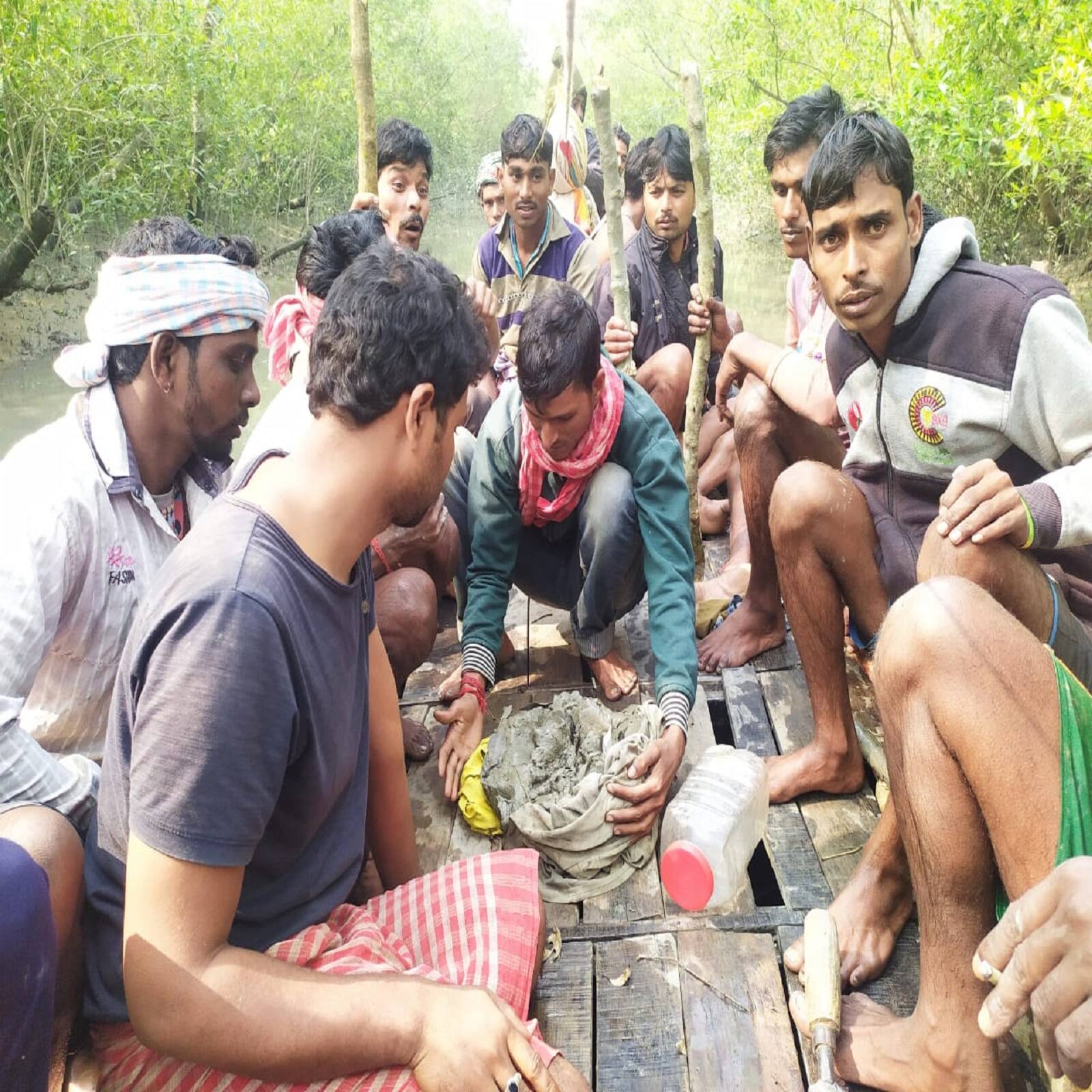 দিন কয়েক আগেই দক্ষিণ ২৪ পরগনার মৈপিঠের এক জমিতে চাষিরা সবজি তুলছিলেন। পাশের ধানজমিতে আচমকা নড়াচড়া ও ধানের শিষে অস্বাভাবিক দুলুনি দেখে অবাক হয়ে যান উপস্থিত চাষিরা। একটু এগোতেই তাঁদের চক্ষু ছানাবড়া। ধানের জমিতে স্বমেজাজে বসে আছেন সুন্দরবনের মহারাজ, রয়েল বেঙ্গল টাইগার।