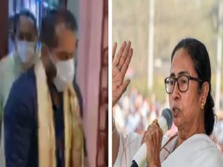 অ্যালভিটো তৃণমূলে!