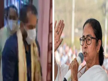 অ্যালভিটো তৃণমূলে!