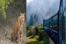 Winter Tour| West Bengal News|| জাঁকিয়ে শীত পড়তেই দার্জিলিং-সুন্দরবনে পর্যটকদের ঢল, করোনা খরা কাটার আশায় ব্যবসায়ীরা Winter Tour| West Bengal News|| জাঁকিয়ে শীত পড়তেই দার্জিলিং-সুন্দরবনে পর্যটকদের ঢল, করোনা খরা কাটার আশায় ব্যবসায়ীরা