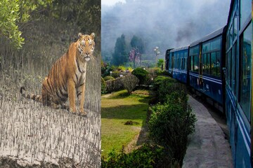 শীত পড়তেই দার্জিলিং-সুন্দরবনে পর্যটকদের ঢল, করোনা খরা কাটার আশায় ব্যবসায়ীরা শীত পড়তেই দার্জিলিং-সুন্দরবনে পর্যটকদের ঢল, করোনা খরা কাটার আশায় ব্যবসায়ীরা