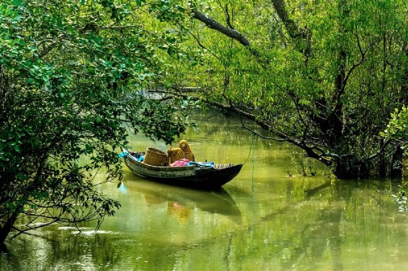 *করোনা পরিস্থিতির কথা মাথায় রেখে সমস্তরকম স্বাস্থ্যবিধি মেনেই পর্যটকরা সুন্দরবন ভ্রমণ করছেন বলে জানিয়েছেন পর্যটন ব্যবসায়ীরা। করোনা সংক্রমণের কথা মাথায় রেখে প্রতিটি ট্যুরের আগে ও পরে লঞ্চ, ভুটভুটিগুলিকে জীবাণুমুক্ত করা হচ্ছে। পর্যটকদের মাস্ক, স্যানিটাইজার বিতরণ করা হচ্ছে। সংগৃহীত ছবি। 