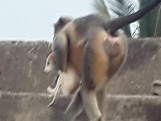 Photo: Twitter