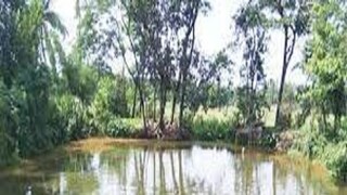 প্রতীকী ছবি প্রতীকী ছবি