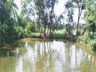 প্রতীকী ছবি