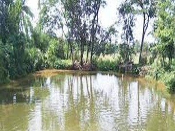 প্রতীকী ছবি