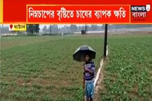 রাতভর নিম্নচাপের বৃষ্টিতে দুর্ভোগে যাত্রীরা, ব্যাপক ক্ষতি চাষের