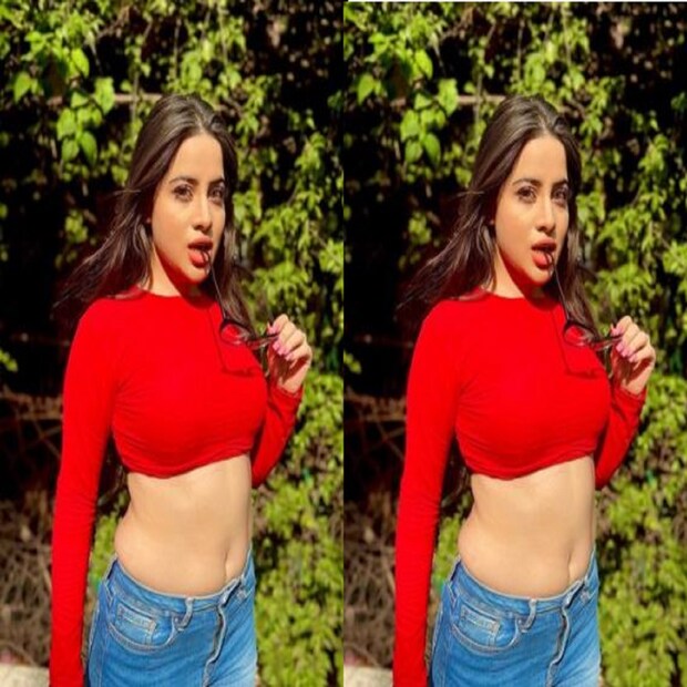 প্রতিটি ছবিতেই এবার ঝড় তুলেছেন উর্ফি জাভেদ যা দুর্বার গতিতে ভাইরাল হয়েছে ৷ ছবি সৌজন্যে ইনস্টাগ্রাম ৷