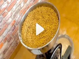 dharmendra grinding wheat with workout watch video, Viral- Photo Courtesy- Instagram/Video Grab 