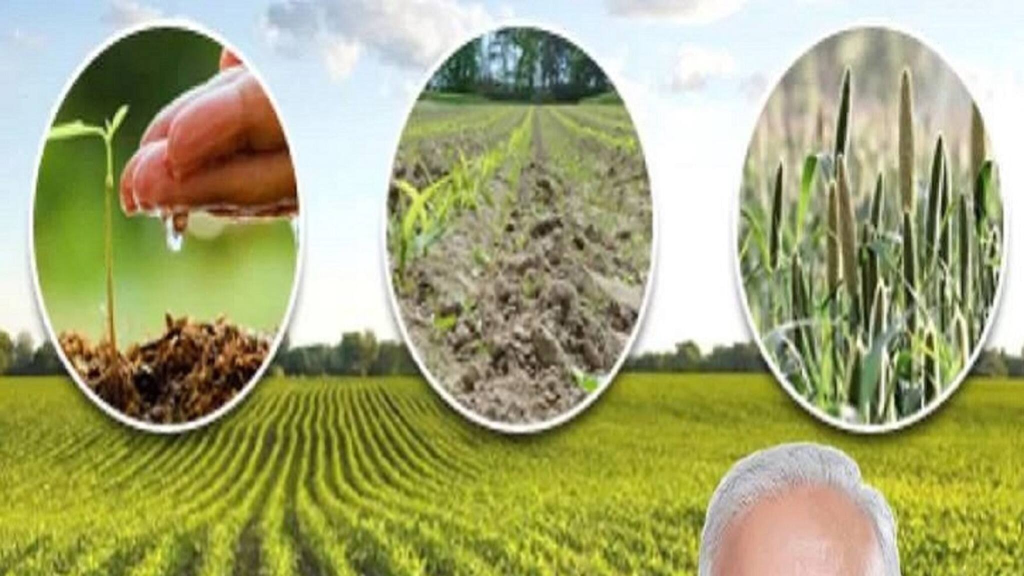 PM Kisan Samman Nidhi Yojana: প্রধানমন্ত্রী কিষান সম্মান নিধি যোজনার ১০ নম্বর কিস্তি তৈরি, কীভাবে টাকা পাবেন